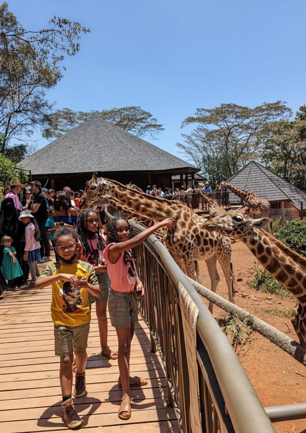 Exploring Nairobi With Kids